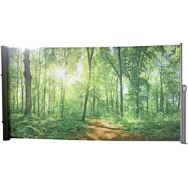 Benelando Seitenmarkise 160 x 300 cm Mehrfarbig