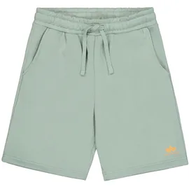 Alpha Industries Basic Short SL II Frost Grün L