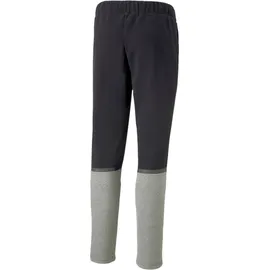 Puma teamCUP Jogginghose Herren 03 black S