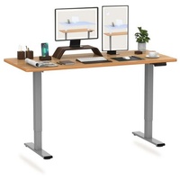 FLEXISPOT Schreibtisch EB2-SET, H?henverstellbarer Schreibtisch, Dual-Motor & 2-FACH-TELESKOP