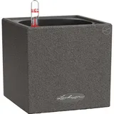 LECHUZA Canto Stone 14 Komplettset 14 x 14 x 13,5 cm graphitschwarz