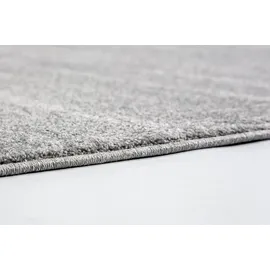 Schöner Wohnen Teppich Balance 80 x 150 cm Hellgrau