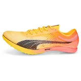 Puma Evospeed Distance Nitro Elite+ 2 Herren Bunt 46