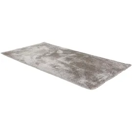 Astra Teppich Stevie D.250 C.040 grau 160x230 cm