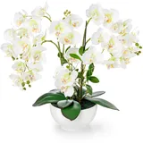 PASCH® XXL Kunstblume Orchidee groß (56cm) in Hochglanz-Keramiktopf | Orchideen künstlich | Kunstblumen wie echt | künstliche Orchideen im Topf | künstliche Blumen im Topf | Kunstblumen im Topf (Weiß)