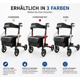 lösch reha Rollator TABAS Mobility faltbar und leicht mit Sitz Champagner