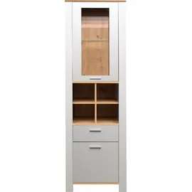 Mäusbacher Standvitrine 63 x 44 x 203 cm Grau