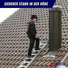 Proregal Dachleiter 10 Sprossen