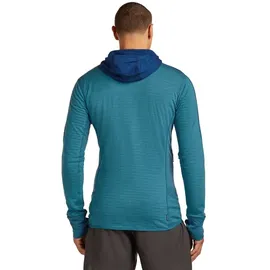 Icebreaker Merino Blend 300 RealFleece Kapuzenjacke Herren Orange L