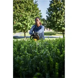 DeWalt DCMHT573X1 65 cm inkl. 1 x 54 V