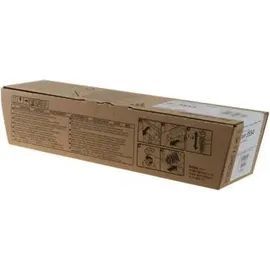 Ricoh Kompatibel zu Ricoh 842348 Schwarz