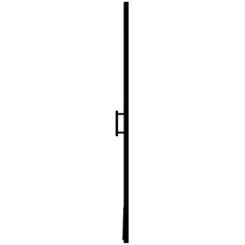 vidaXL Duschtür Hartglas 100 x 178 cm Schwarz