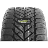 Diplomat Winter ST 165/70 R14 81T