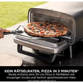 Ninja MO201EU Artisan Outdoor-Elektro-Pizzaofen und Heißluftfritteuse Minibackofen, Grau (1760 Watt)