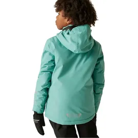 Dare 2b Impose V Jacke Bristol Blue 146