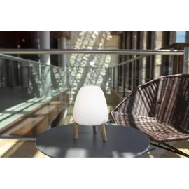 NEW GARDEN Rocket 20 Weiß