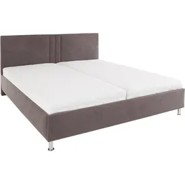 Westfalia Schlafkomfort Elba 180 x 200 cm Bonnell-Federkernmatratze | H2 | ohne LED-Beleuchtung Microfaser anthrazit