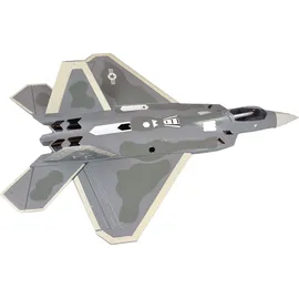 AMEWI RC-Flugzeug F-22 Raptor Jet EPO ARF grau