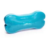 FitPAWS K9FITbone