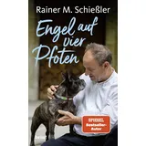 Bene! Engel auf vier Pfoten