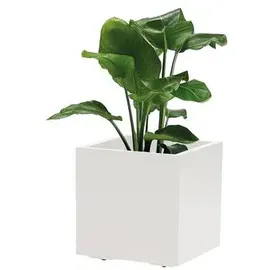 Euro3Plast Kebe 39,5 x 39,5 x 39,5 cm Weiß