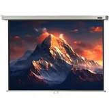 Celexon Rollo Professional 220x165 4:3