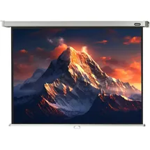 Celexon Rollo Professional 220x165 4:3