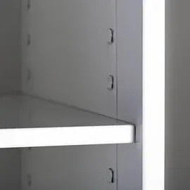 Lüllmann Putzmittelschrank 510720 lichtgrau 60,0 x 50,0 x 180,0 cm, aufgebaut, 1 St.