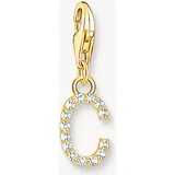 Thomas Sabo Charm Anhänger