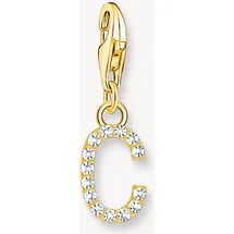 Thomas Sabo Charm Anhänger