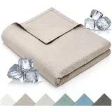 Blumtal Kühldecke 120x100 cm - Sommerdecke Bambus - Oeko-TEX zertifizierte & kühlende Decke als Sofadecke Sommer/Reisedecke - Kühldecke Bett - selbstkühlende Decke - Kühldecken fürs Bett - Taupe