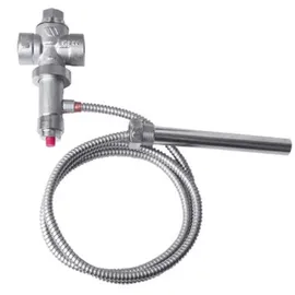 Watts Thermische Ablaufsicherung STS20 2 x 3/4 Zoll max. 10 bar Einstellung 97°C
