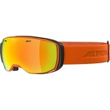 Alpina Sports Skibrille, ESTETICA Q-LITE