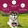 Wolfsbacher Natur Magen & Darm Leckerli 125 St.