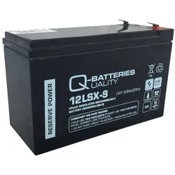 Ersatzkku für Eaton Powerware USV-Anlage 12V 9Ah