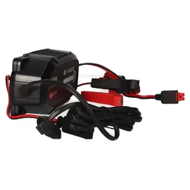 Absina 301008 301008 Automatikladegerät 6 V, 12 V 3.8 A