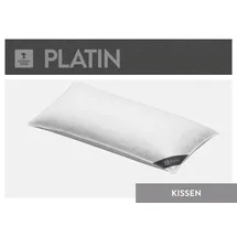 SPESSARTTRAUM Daunenkissen Platin 80 x 80 cm Weiß