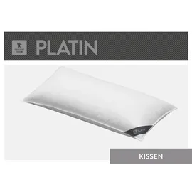 SPESSARTTRAUM Daunenkissen Platin 80 x 80 cm Weiß