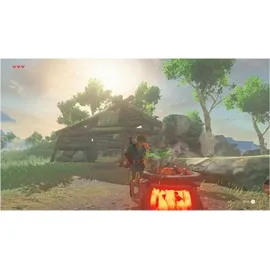 The Legend of Zelda: Breath of the Wild (USK) (Nintendo Switch)