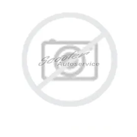 ZMAX Winterhawke I 205/50 R17 93H