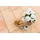 Diephaus Terrassenplatte Ancona Lachs 60 x 40 x 4 cm