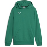 Puma teamGOAL Hoodie Jungen 05 sport green/white 164