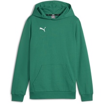 Puma teamGOAL Casuals Hoodie Jungen 05 sport green/white 164