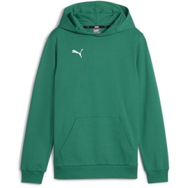 Puma teamGOAL Casuals Hoodie Jungen 05 sport green/white 164