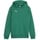 Puma teamGOAL Casuals Hoodie Jungen 05 sport green/white 164