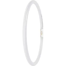 Osram LED Ringlampe T5 FC40/55 P 21,5W 830 2GX13