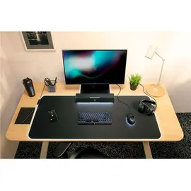 Razer Leviathan V2 X - PC-Gaming-Soundbar (mit Full-Range-Treibern, Kompaktes Format, Stromversorgung und Audio per USB Typ C, Bluetooth 5.0, Chroma RGB) Schwarz