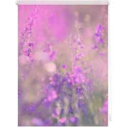 Lichtblick Rollo Klemmfix, ohne Bohren, Verdunkelung, Blumenwiese - Fuchsia Violett