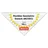ARISTO Geometriedreieck 16 cm flexibel transparent