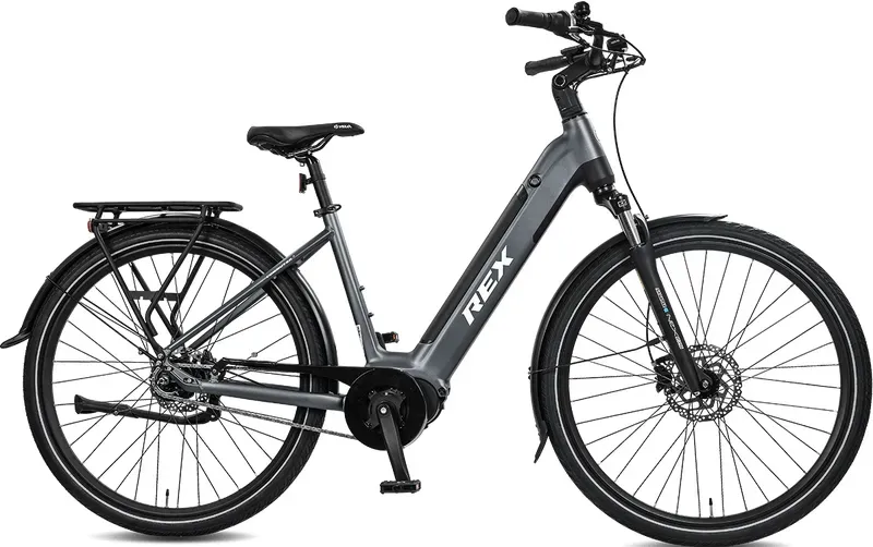 Rex Commuter+ E-Bike Wave 48 grau